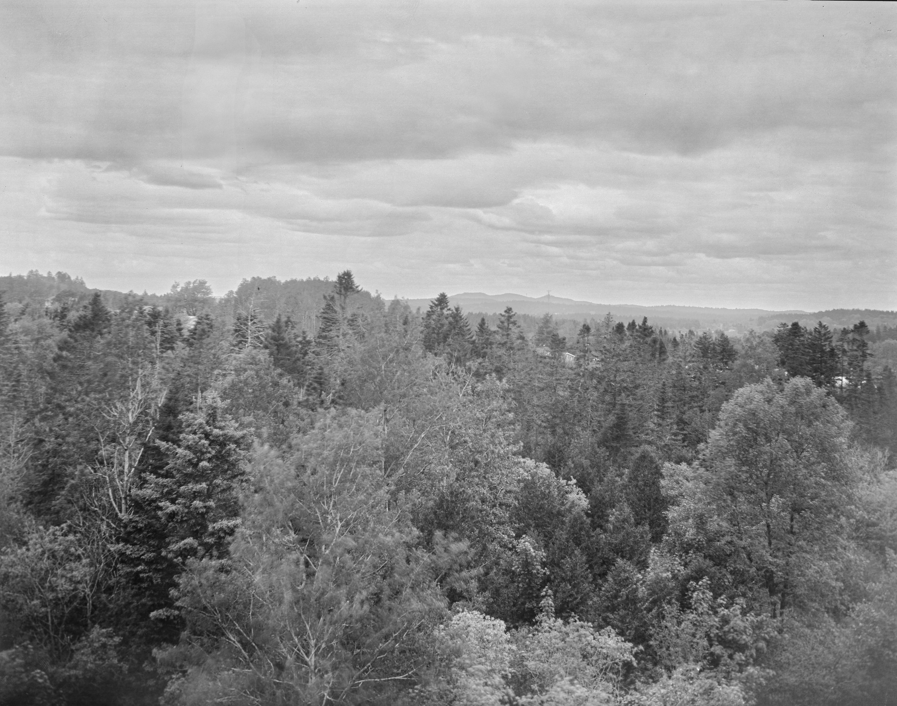 Camera: +100 year old 8x10" Kodak Empire State
Negative: Kodak Panalure paper negative
Developer: Homemade Caffenol CM