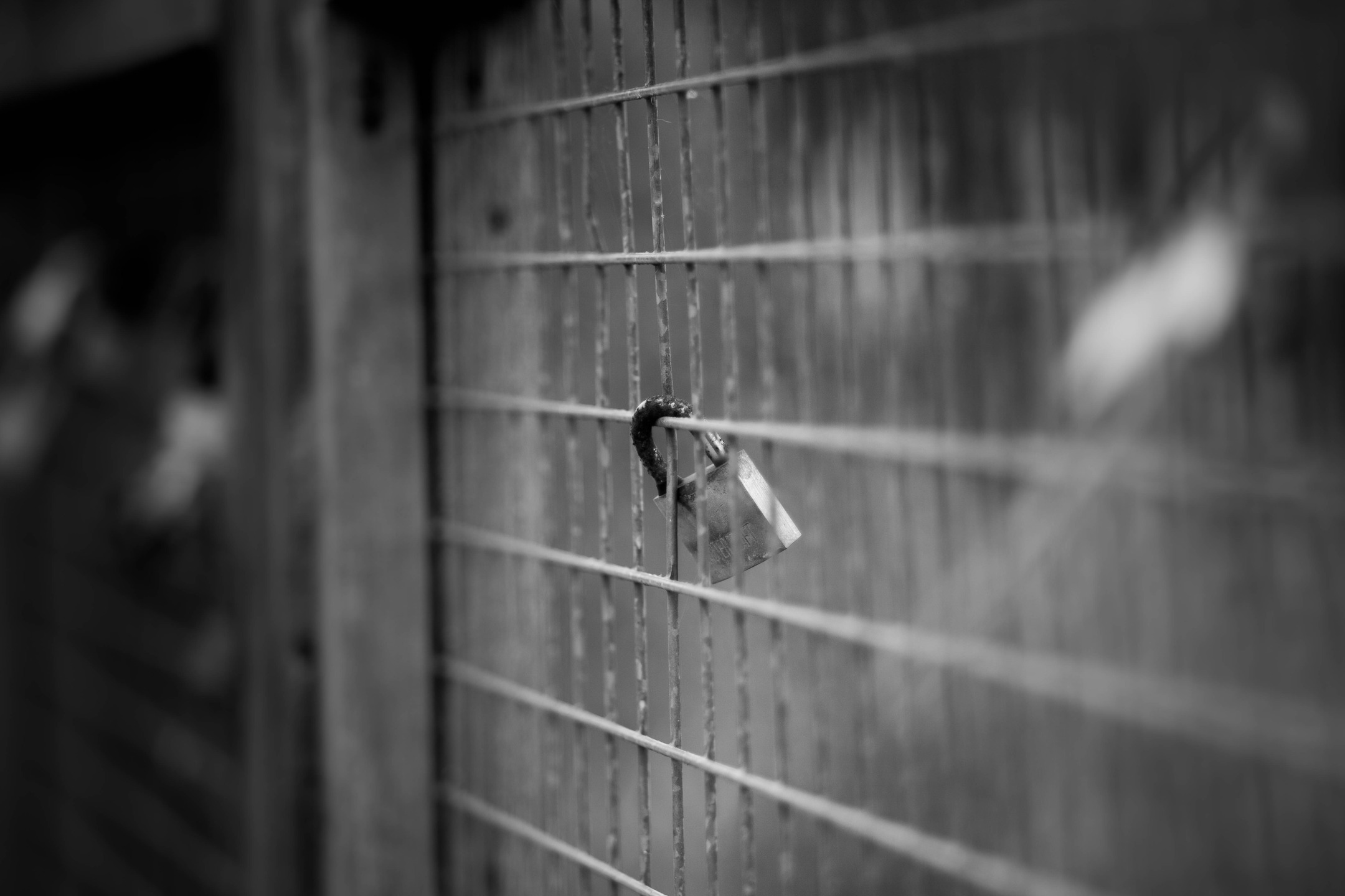 📸 Canon 5D MKII 
🔘 Rollei Planar f/1.8 50mm
#VintageLens #rollei #rollei135mm #blackandwhite #canon5dmkii