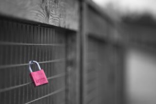 📸 Canon 5D MKII 
🔘 Rollei Planar f/1.8 50mm
#VintageLens #rollei #rollei135mm #blackandwhite #canon5dmkii