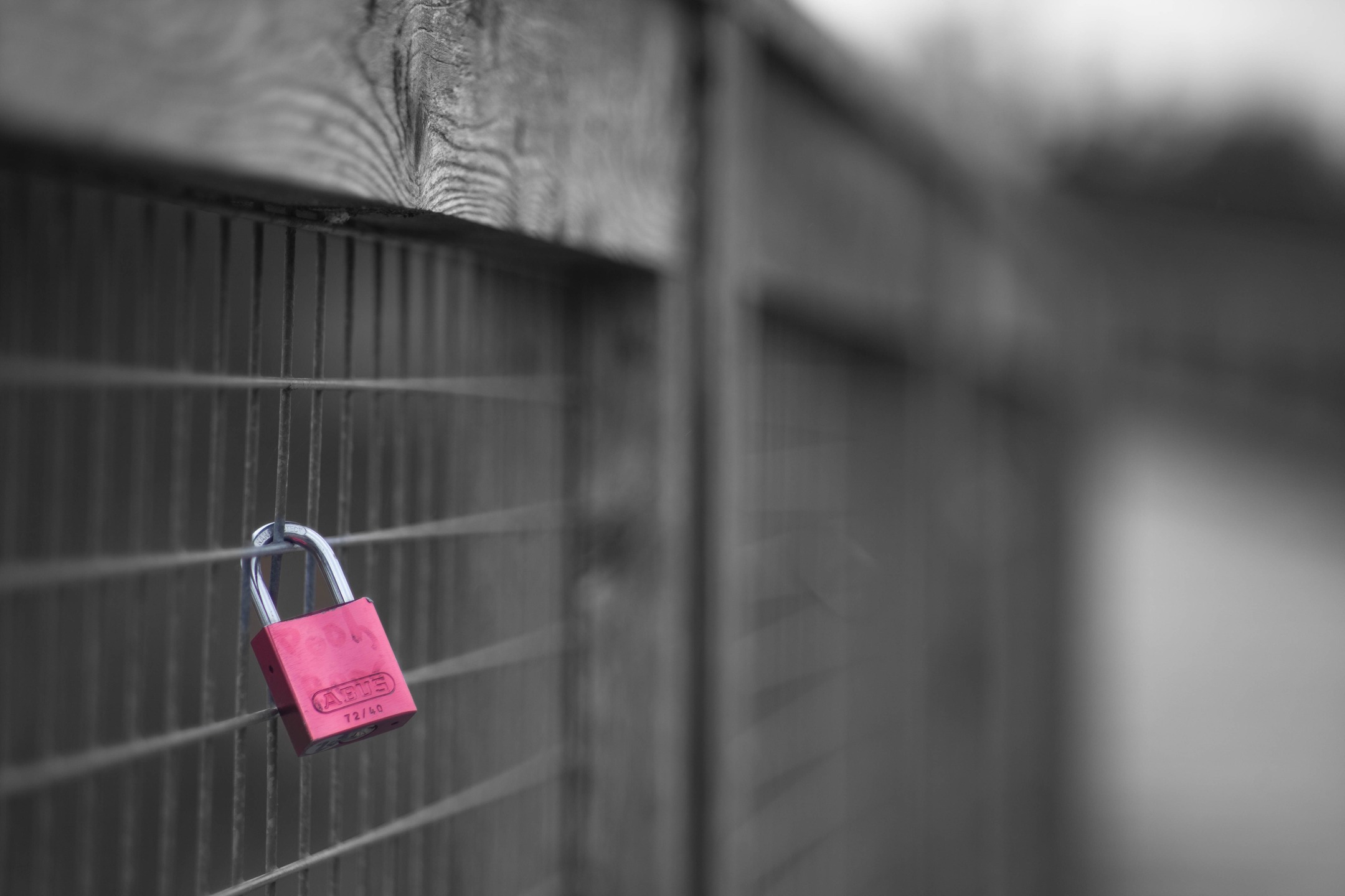 📸 Canon 5D MKII 
🔘 Rollei Planar f/1.8 50mm
#VintageLens #rollei #rollei135mm #blackandwhite #canon5dmkii