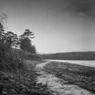 📸 1960's Pentacon Six
🎞️ Expired Ilford Delta 3200 Pro
🧪 Kodak HC-110 dilution B for 15 mn
#filmphotography #filmphotographyisnotdead #ilford #ilforddelta3200