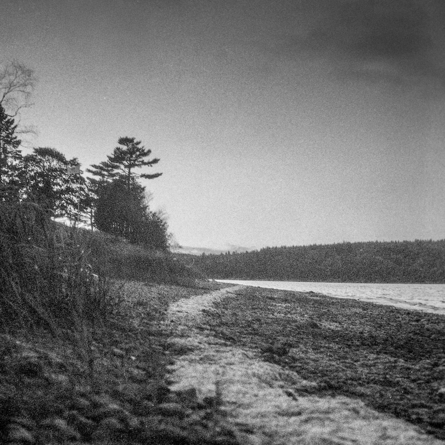 📸 1960's Pentacon Six
🎞️ Expired Ilford Delta 3200 Pro
🧪 Kodak HC-110 dilution B for 15 mn
#filmphotography #filmphotographyisnotdead #ilford #ilforddelta3200