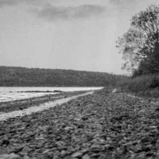 📸 1960's Pentacon Six
🎞️ Expired Ilford Delta 3200 Pro
🧪 Kodak HC-110 dilution B for 15 mn
#filmphotography #filmphotographyisnotdead #ilford #ilforddelta3200