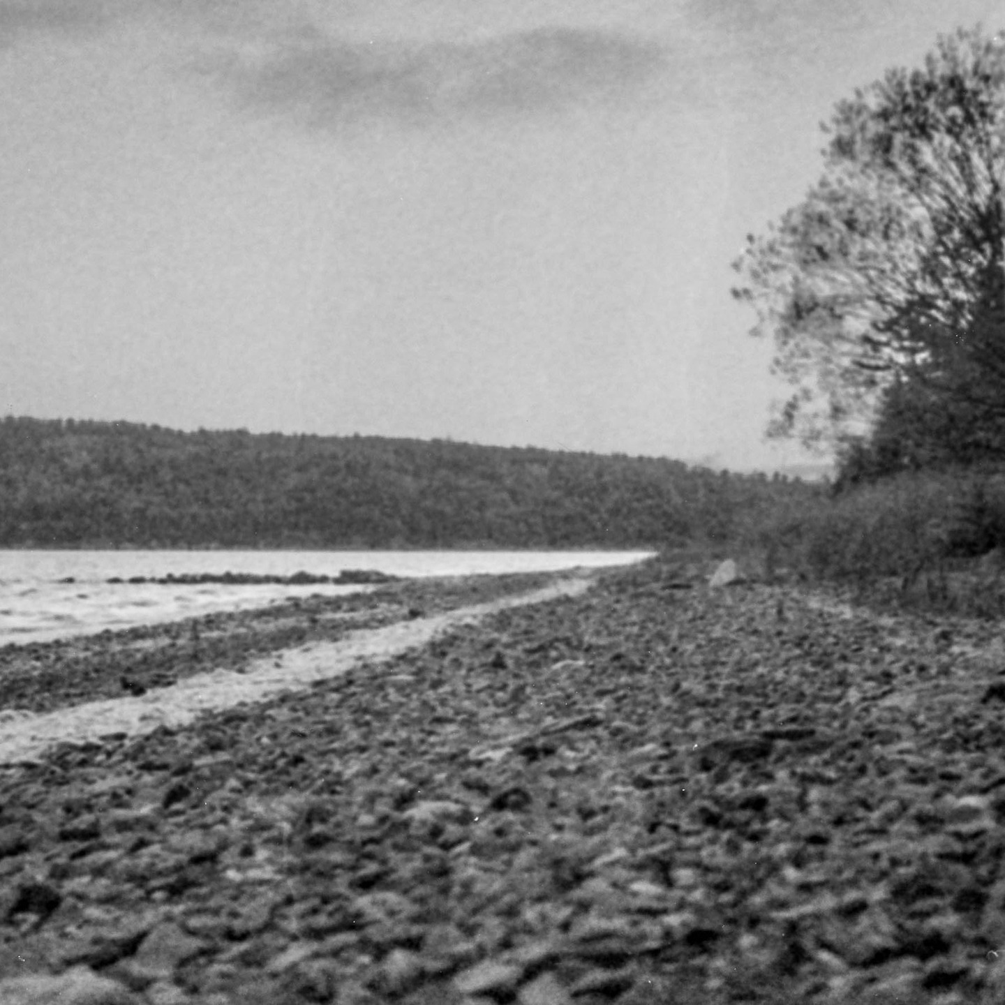 📸 1960's Pentacon Six
🎞️ Expired Ilford Delta 3200 Pro
🧪 Kodak HC-110 dilution B for 15 mn
#filmphotography #filmphotographyisnotdead #ilford #ilforddelta3200