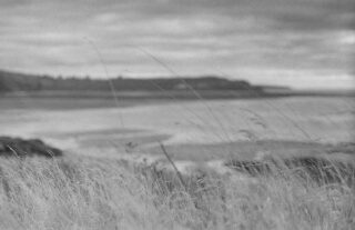 📸 1960's Minolta SRT 101
🔘 Rokkor PF f/1.7 55mm
🎞️ Kodak Double X
🧪 HC-110 Dilution B for 5mn @ 20C