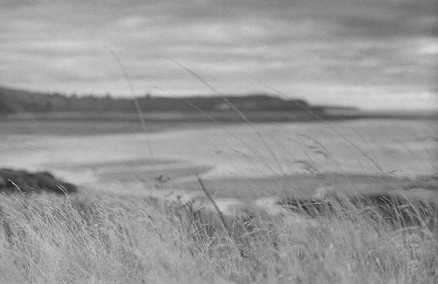 📸 1960's Minolta SRT 101
🔘 Rokkor PF f/1.7 55mm
🎞️ Kodak Double X
🧪 HC-110 Dilution B for 5mn @ 20C