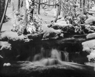 Camera: 1950 4x5 RHS Model A
Lens: Schneider-Kreuznach f/5.6 150mm
Film: Kodak Kodabromide F5 paper negative.
Developer: Dektol