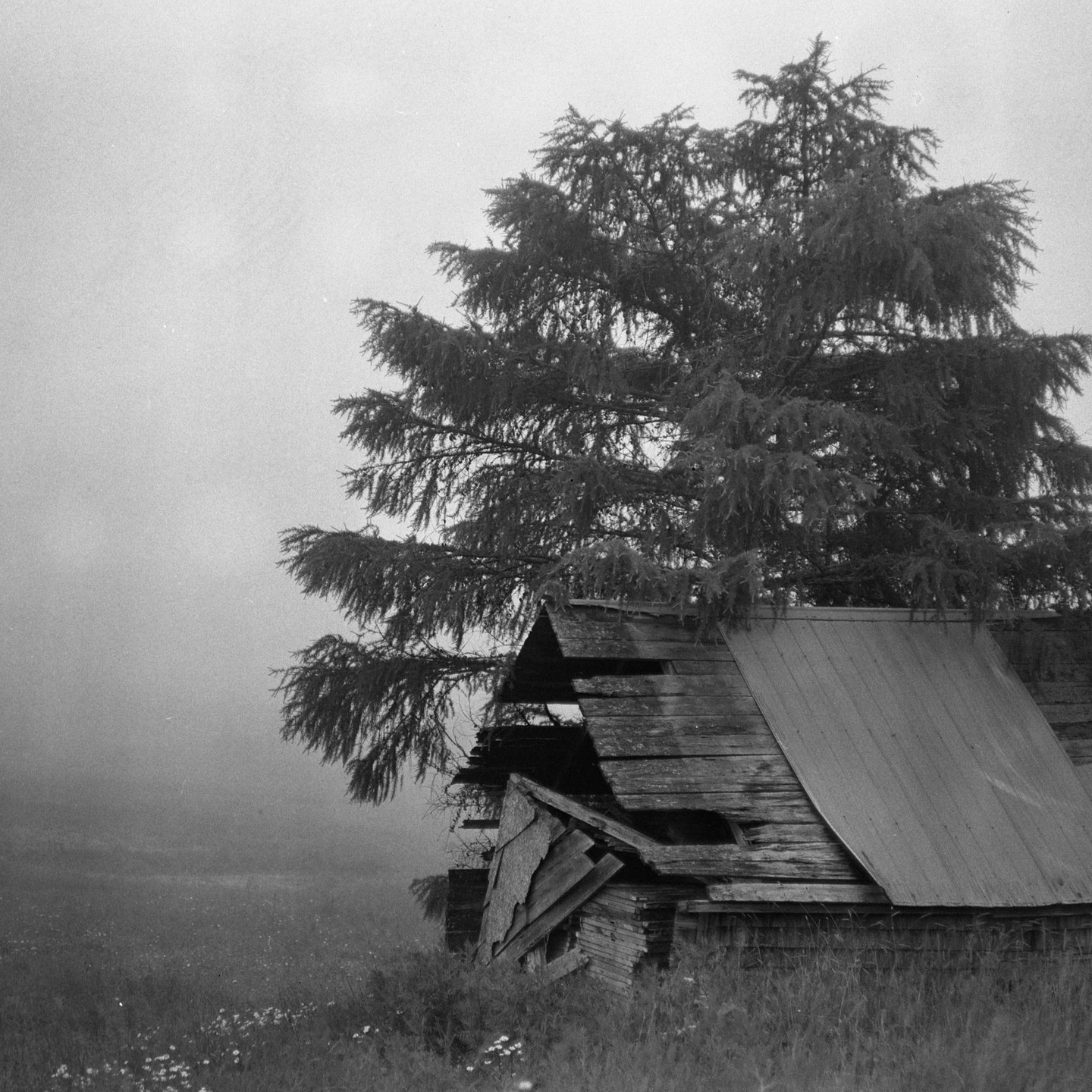 Foggy summer day

📸 Pentacon Six
🔘 Biometar 2.8/80 MC Carl Zeiss
🎞️ Ilford HP5
🧪 Caffenol CM

#ilfordphoto #ilfordhp5 #ilfordhp5plus #ilfordhp5plus400 #pentaconsix #biometar #biometar80mm #caffenol #caffenolcm #fog #foggy #filmnotdead