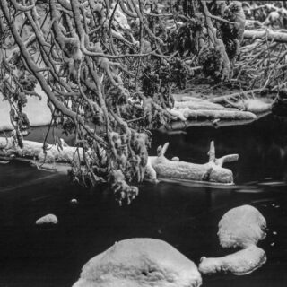 Camera: 1950 4x5 RHS Model A
Lens: Schneider-Kreuznach f/5.6 150mm
Film: Kodak Kodabromide F5 paper negative.
Developer: Dektol
#papernegative
#4x5
#largeformat 
#largeformatphotography 
#dektol
#kodak