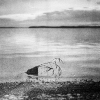 📸 Pentacon Six
🔘 Biometar 2.8/80 MC Carl Zeiss
🎞️ Expired Ilford Delta 3200 Pro
🧪 Kodak HC-110 dilution B for 15 mn