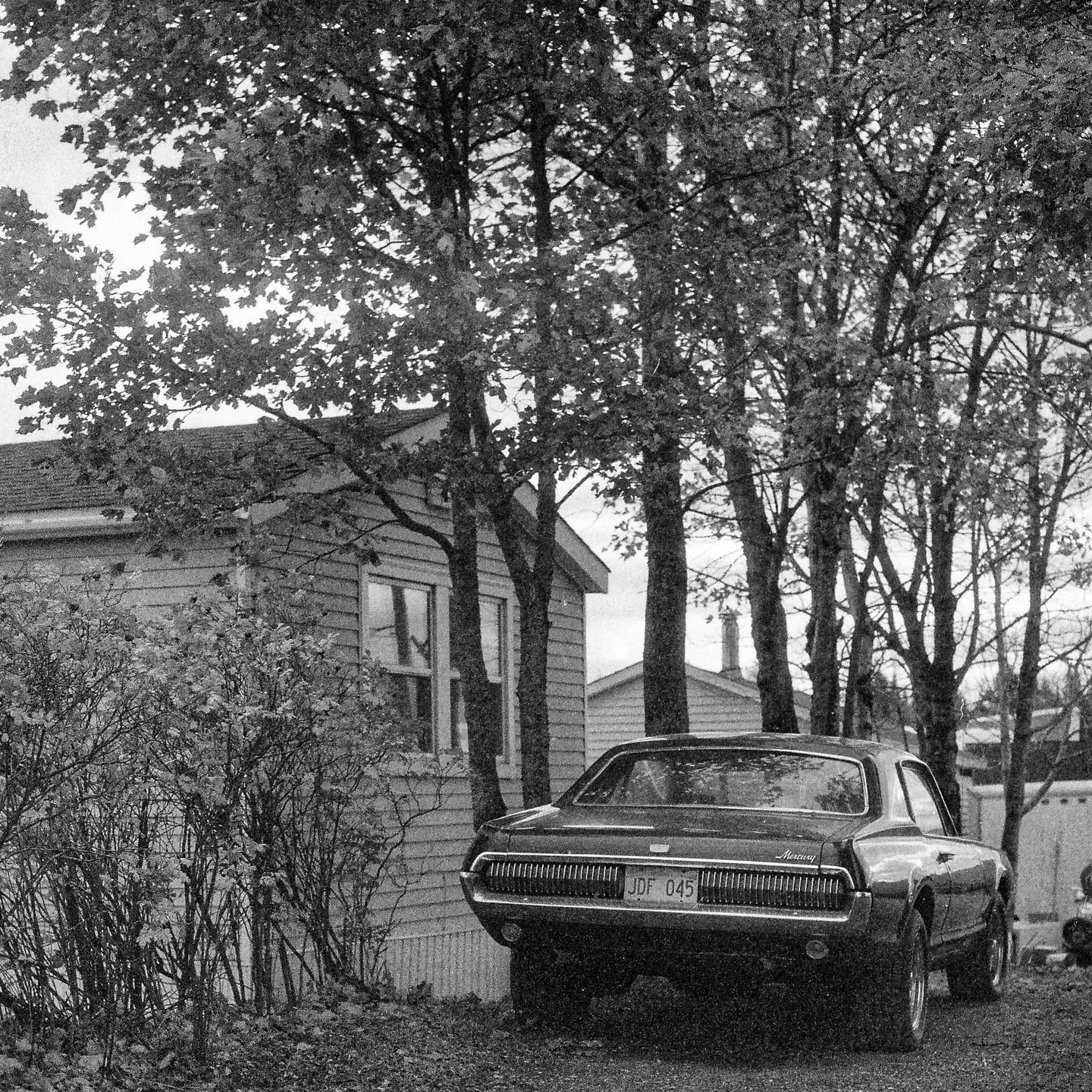 📸 Pentacon Six
🔘 Biometar 2.8/80 MC Carl Zeiss
🎞️ Expired Ilford Delta 3200 Pro
🧪 Kodak HC-110 dilution B for 15 mn