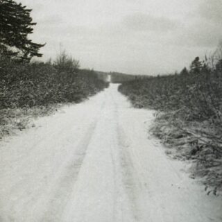 Camera: 1945 Universal Mercury II
Film: Kodak Double X
Developer: Caffenol CM