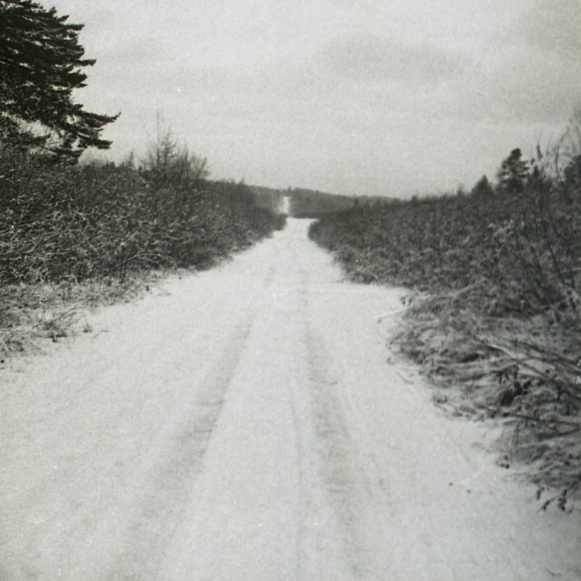 Camera: 1945 Universal Mercury II
Film: Kodak Double X
Developer: Caffenol CM